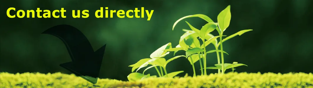 Sap for Baby Diapers and Adult Diapers