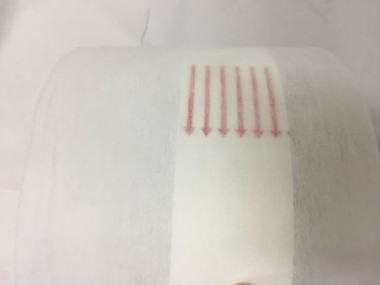 SSS Nonwoven Laminated with PE Film for Making Diaper